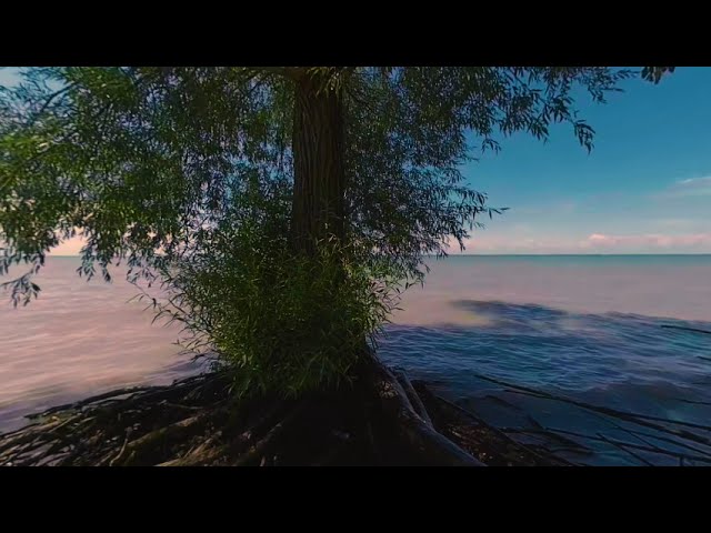 VR180 3D - Environment - Lake Erie - Insta360 Evo Log Color Test - 5.7K