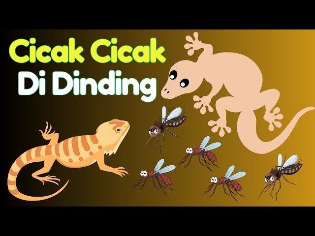 Lagu Cicak Di Dinding Indonesia | Lagu Anak Indonesia Populer | Ceria Kids Song