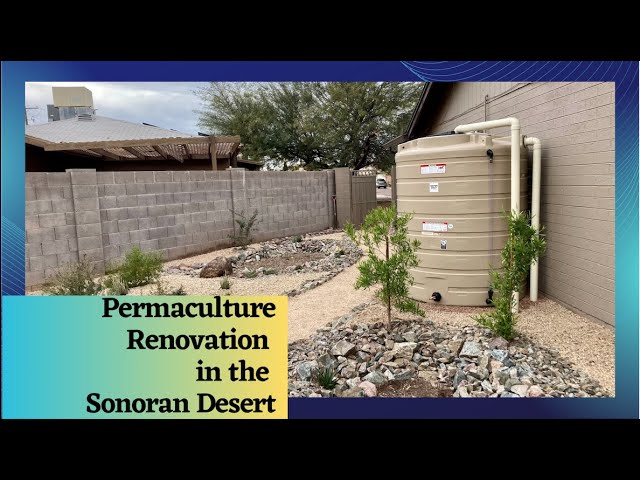 Permaculture Renovation in the Sonoran Desert