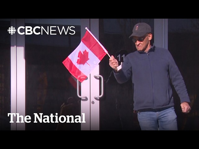 True north strong and free: Defiant Canadians fly flags to resist Trump