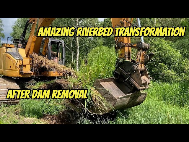 Amazing Riverbed TRANSFORMATION After Dam Removal!