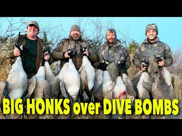 Big Honkers & Dive Bomb Decoys ... Hired to Hunt Season 8 #8 ... Goose Hunting Duck Hunting ALBERTA