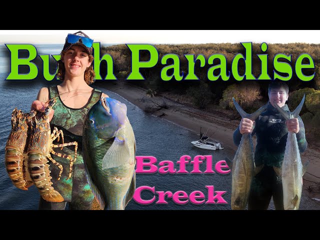 Bush Paradise Baffle creek camping from the boat, crayfish catch & cook. Queensland Australia ep49