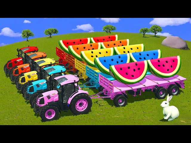 LOAD AND TRANSPORT GIANT WATERMELON SLICES WITH CLAAS TRACTORS - Farming Simulator 25