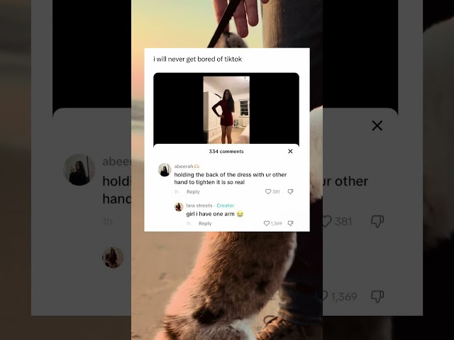 Girl😂 #memes #dog #funny #tiktok