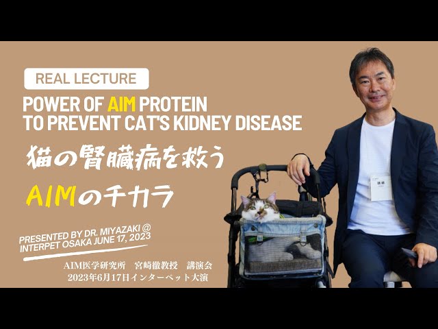 Feline Kidney Disease and AIM: A New Hope and Treatment