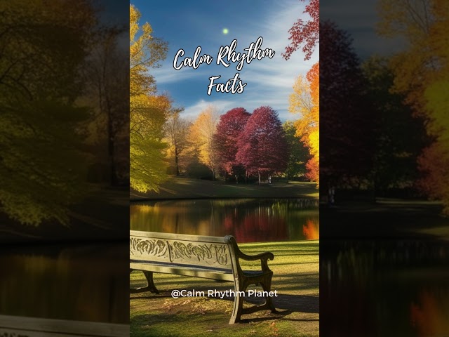 Relax Autumn Fall Melodies And How They Can Improve Our Day #shorts