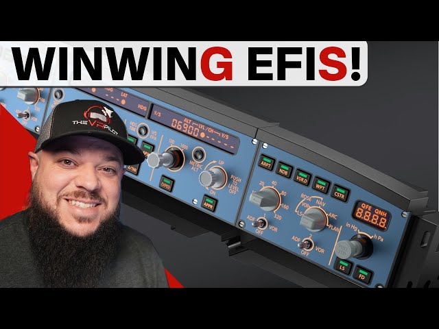 WinWing EFIS Review - Pros, Cons Is It for you?