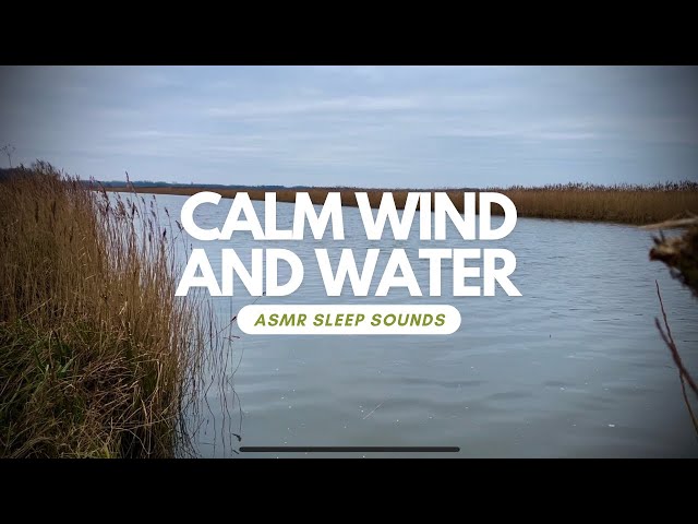 Calm Wind and Water Sounds | Relaxing Broads ASMR for Sleep & Relaxation (No Ads)