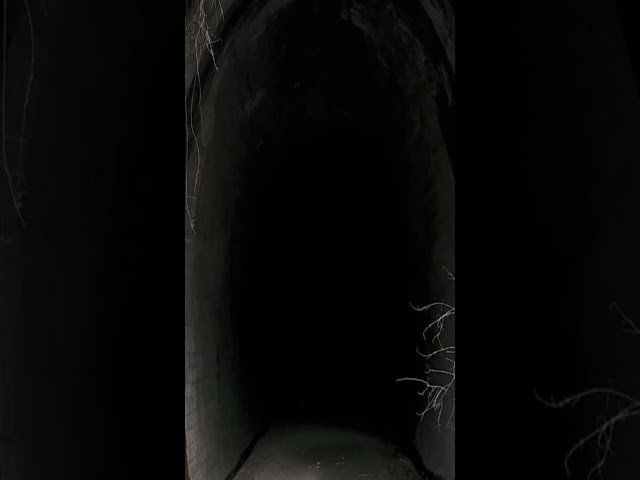 A Lost Tunnel, A Dark Secret… And an Unseen Horror #shorts #terrifying #youwontbelievethis