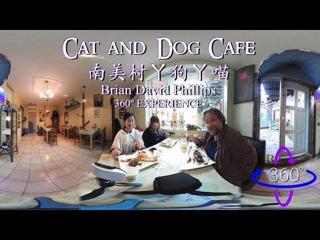 Cat and Dog Cafe in 360°