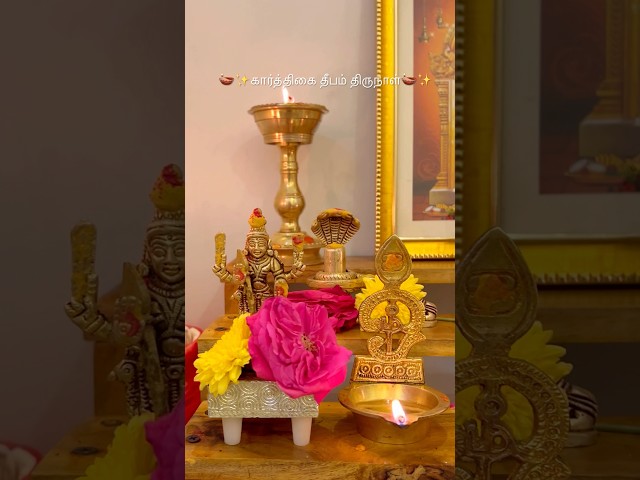 Minivlog #15 🪔 Karthigai Deepa Thirunal naalae special tana 🪔🪔#homedecor #homevlog #vlogtoday