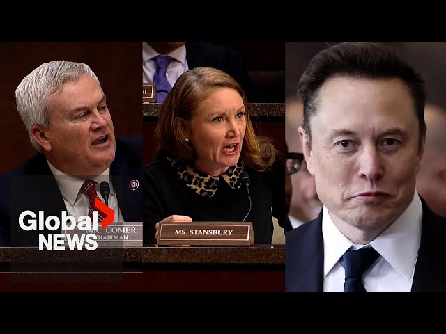 Heated moment after Democrats on House Oversight Committee call for Elon Musk to testify