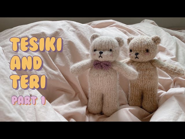 Teddy bear knitting toy : 테식이와 테리 대바늘 인형뜨기 part 1