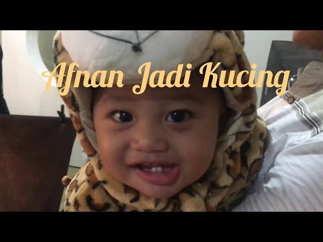 AFNAN JADI KUCING