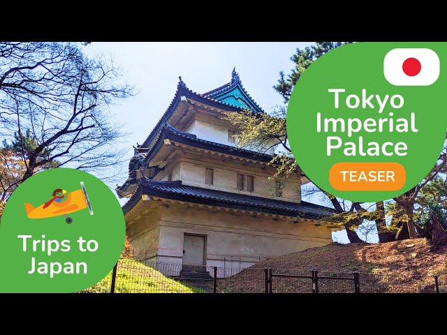 Tokyo Imperial Palace 360 Teaser | 3D 8K Experience | DYNAMIC LANGUAGES