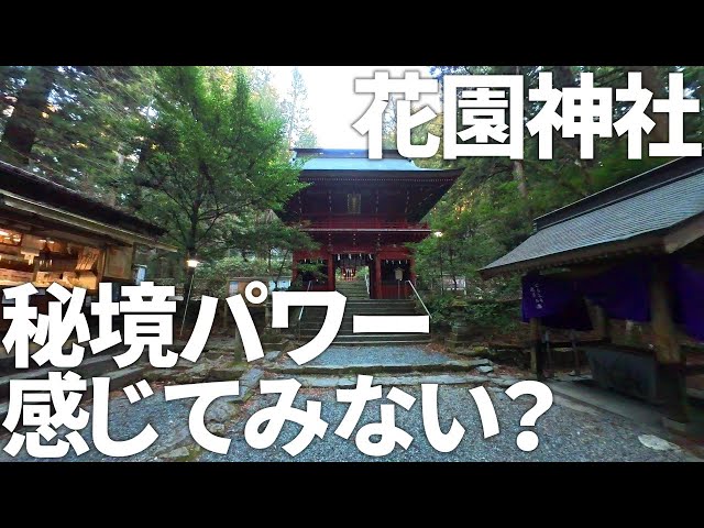 【茨城 花園神社】茨城県北茨城氏の花園神社/巨樹に包まれた秘境/パワースポット/観光スポット