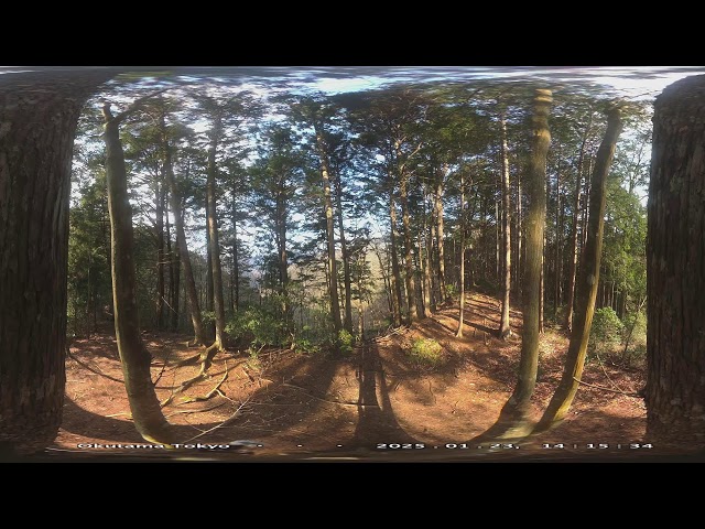 東京農業大学奥多摩演習林×Forest Notes ４K 360°Live