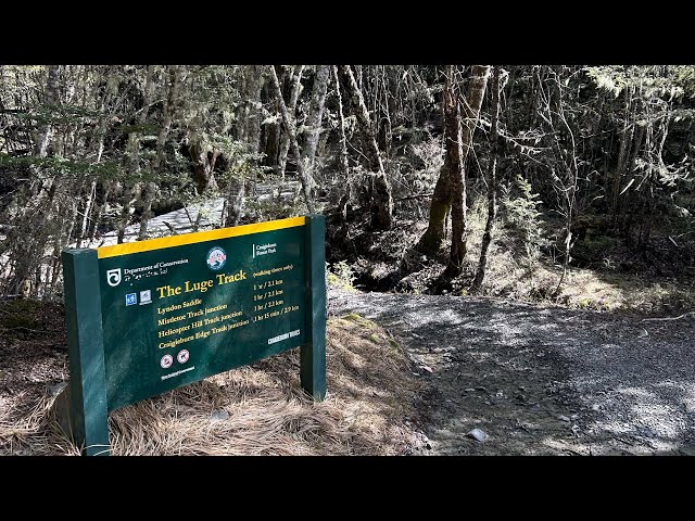 Craigieburn Forest Day Hike