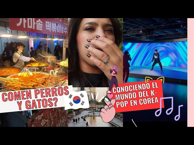 QUE TAL NOS FUE BAILANDO K-POP? FUIMOS A LA FRONTERA DE COREA DEL NORTE