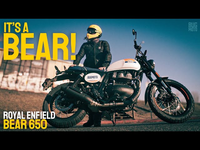 How It FEELS: Royal Enfield Bear 650 (vs Triumph Scrambler 900)