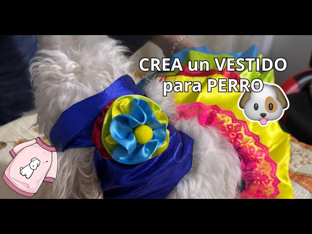 CREA un VESTIDO para tu PERRO en CASA 🐶 - Manualidades 2025