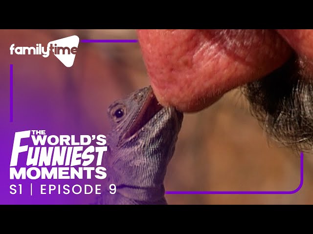 World's Funniest Moments | S1 Episode 9