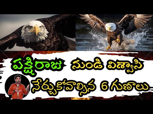 పక్షిరాజు 6 గుణాలు | Life lessons from Eagle | latest new telugu christian messages