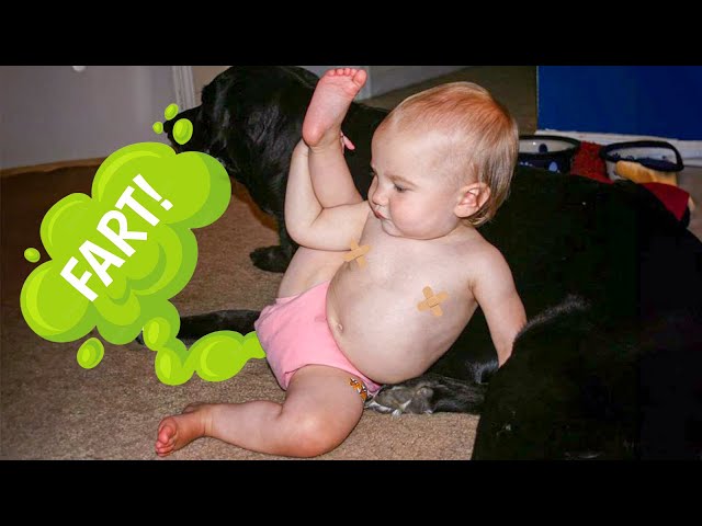 Lovely Moments When Babies Farts - Funny Baby Videos | BABY BROS