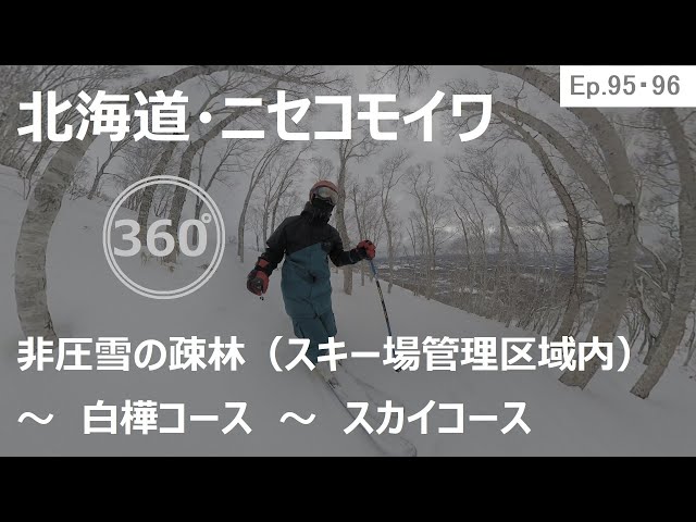 『 360°スキー場 Ep.95･96 』【 北海道・ニセコモイワ 】非圧雪の疎林（スキー場管理区域内）～白樺コース～スカイコース