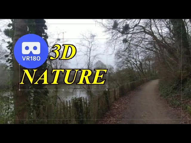 2024   VR180 3D   NATURE 3D Promenade matinale   21 février