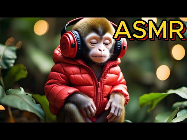 ASMR LAYERED CRINKLE AND TAPPING SOUNDS FOR SLEEP