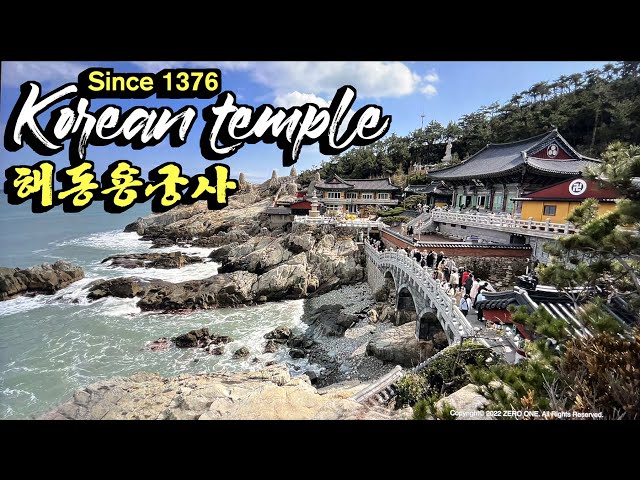 [4K HDR]  Korea Temple Travel 🇰🇷 Yonggungsa Temple is located on a coastal cliff in Busan.