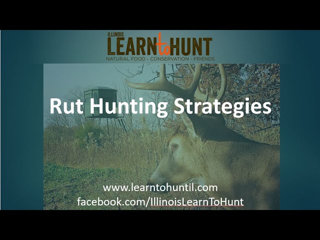 LtH Webinar: Rut Hunting Strategies