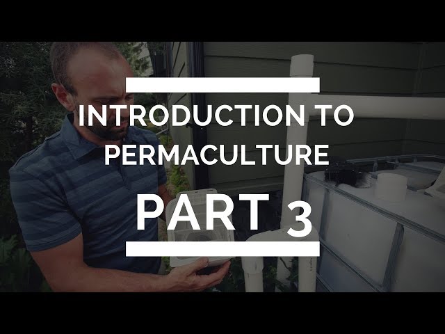 Introduction to Permaculture Part 3 - Water Harvesting and Turning Waste Into Resource