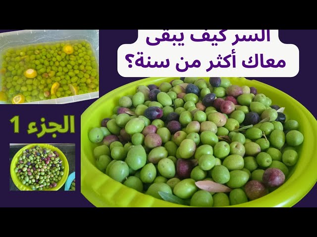 واش كنتي عارفة الطريقة الصحيحة لترقيد الزيتون والسر في الاحتفاظ بيه مدة طويلة ⁉️ اكثر من سنة ‼️