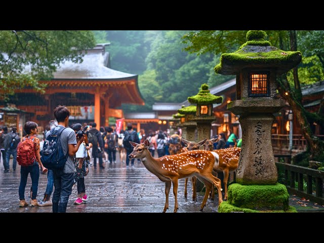 Nara Park and Todai-ji Temple: A Peaceful Japan Walking Tour in 4K HDR