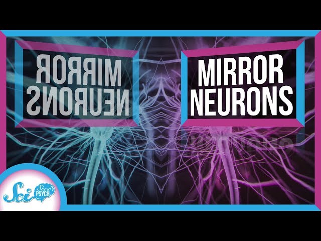 What Do Mirror Neurons Really Do?