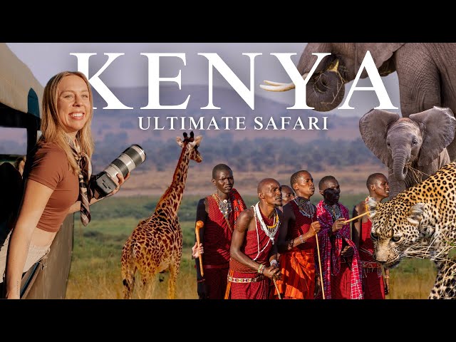 THE SAFARI OF A LIFETIME | Masai Mara & Amboseli National Park