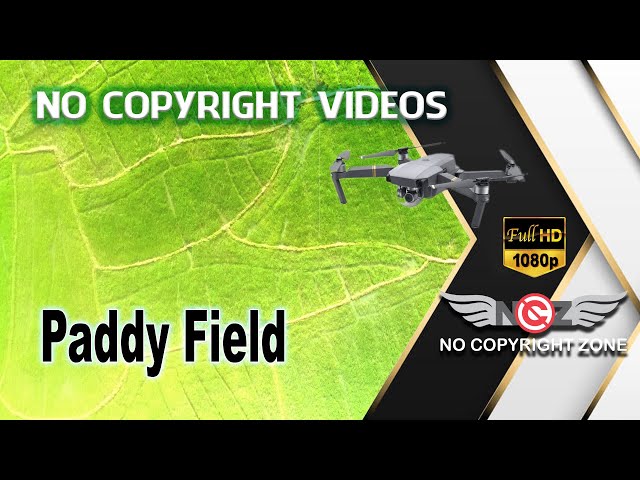 No Copyright Video - Massive Paddy Field form Bird View - Embilipitiya Sri Lanka - No Copyright Zone