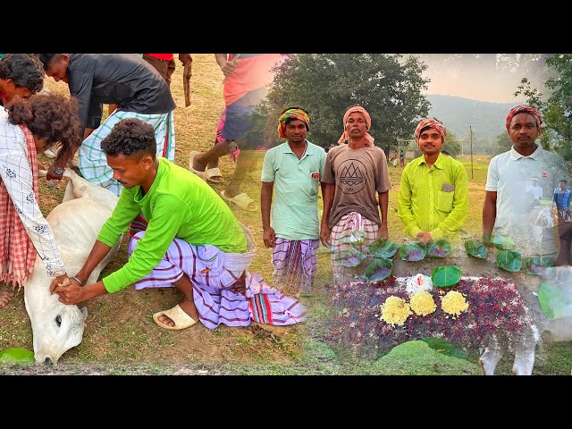 Santali tribe tradition festival || Santali festival || village tribal life