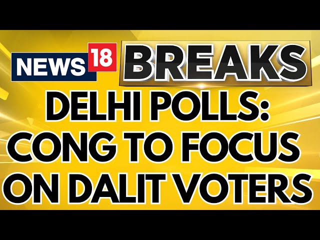 Delhi Elections 2025 | Congress Party To Focus On Dalit And Muslim Voters For Elections | News18