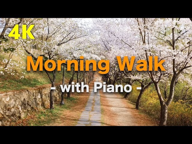 4K Drone Walking,  Spring Forest Walk ♫ relaxing piano music 🌴 nature sounds