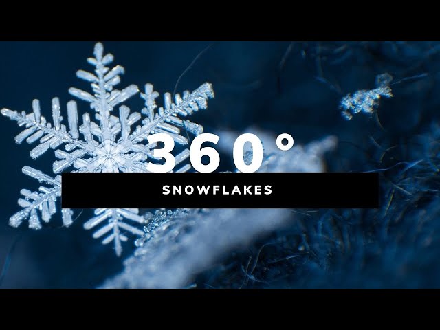 Snowflakes / Bayern Germany 360°