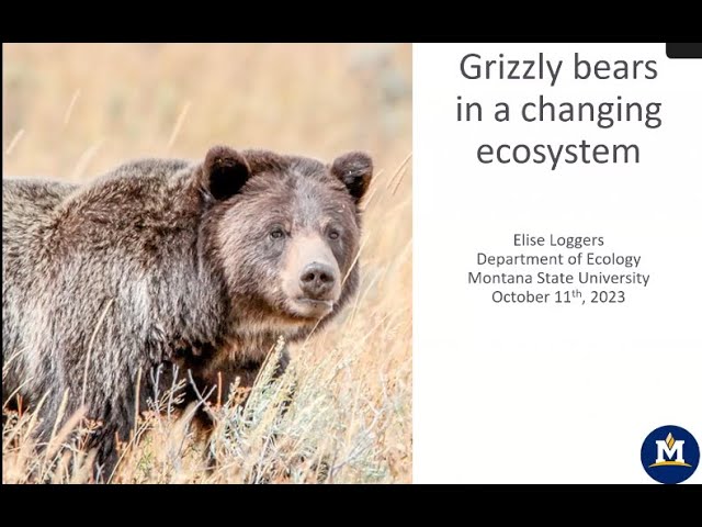 Flexible Foragers? Grizzly bears in a changing ecosystem