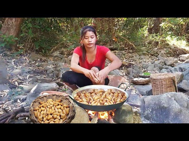 Cooking Tasty Worm and Eating with frying eggs for our jungle food + 6 More Cooking Videos