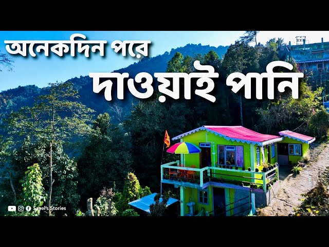 Dawaipani Darjeeling | New Budget Homestay in Dawaipani | Offbeat Darjeeling | Dawaipani Vlog