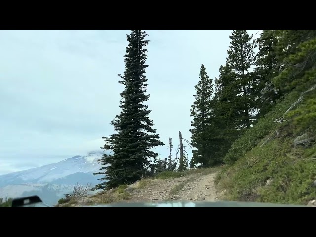 View of Mt. Hood from Bennett Pass Rd - 23 Sep 2023