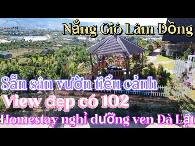 Homestay ven Đà Lạt, view toàn cảnh 360, nằm trọn trên đồi cao #datlamdong #nhadatlamdong #youtube