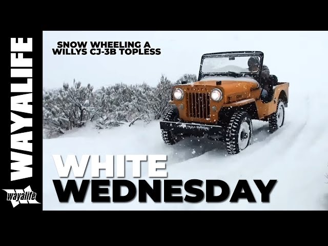 Willys Jeep CJ-3B Offroad Snow Wheeling Topless